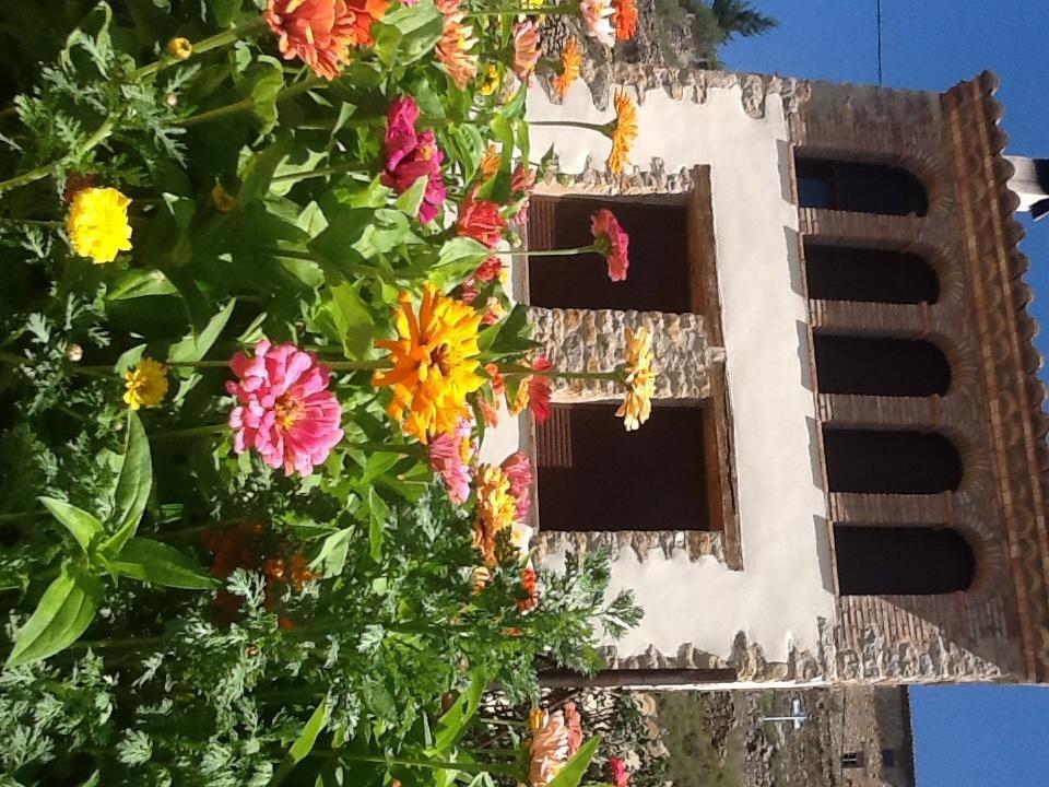 Casa Rural Caseta De L' Hort Villafranca del Cid Zimmer foto